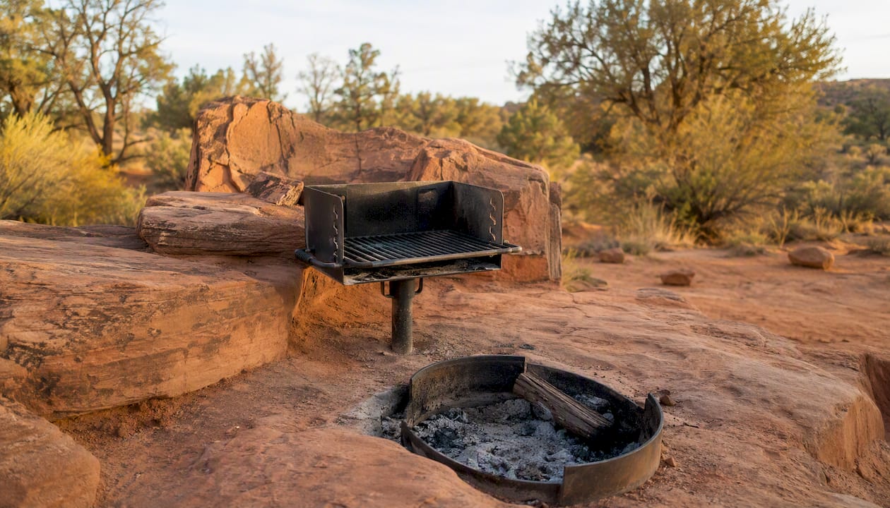 Picnic grill and fire ring at Pioneer Park