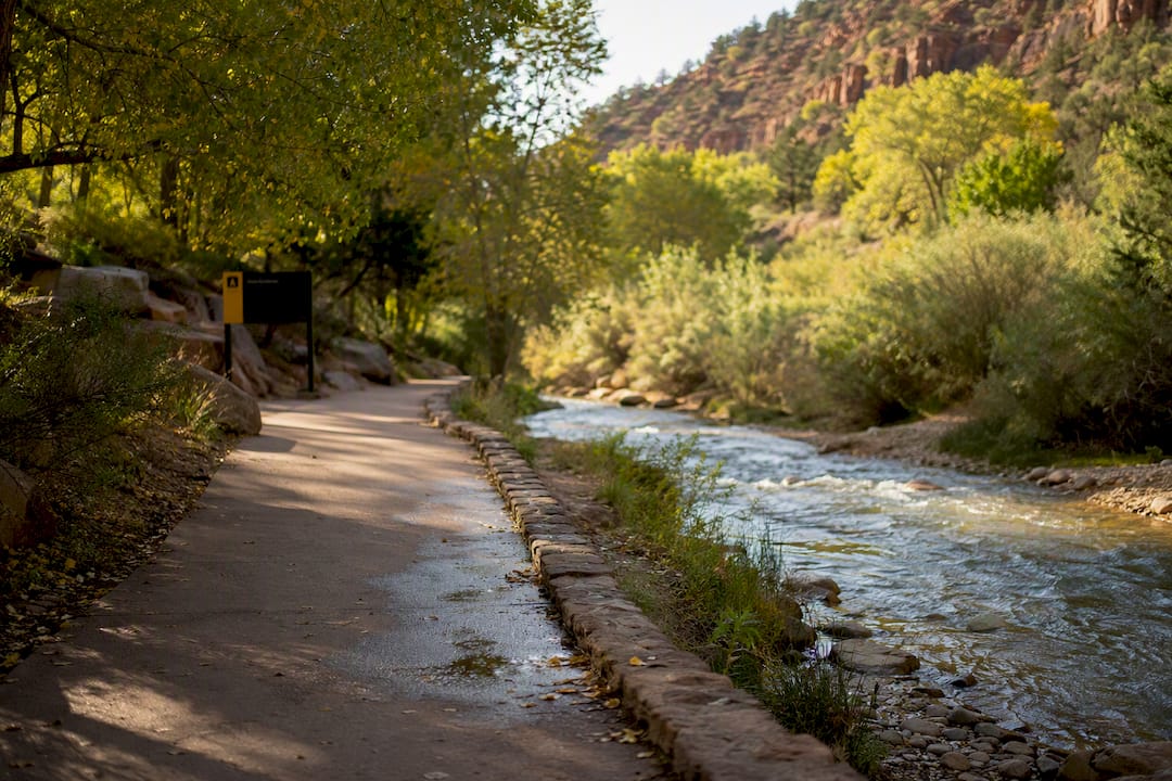 Paved accessible trail beside river in Zion Park