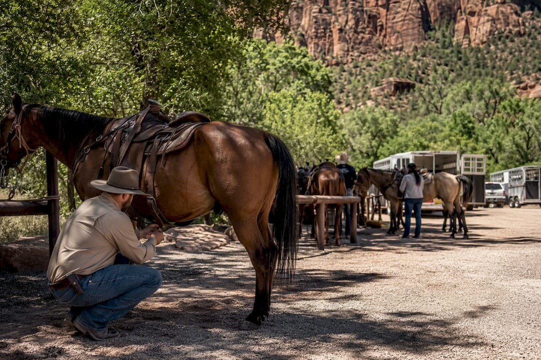 Horseback riding check-in at Zion trailhead